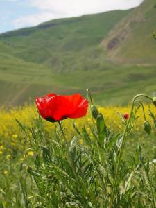 Nature of Armenia close to Spitak