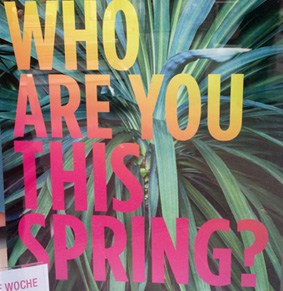 Window shopping for a new identity. Vienna. Spring&nbsp;2014