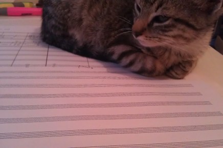 Making of: Vienna Weekend Thoughts 3 – Shelfies, Selfies and the&nbsp;Arts