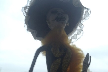 Call for Entries |&nbsp;Catrinas