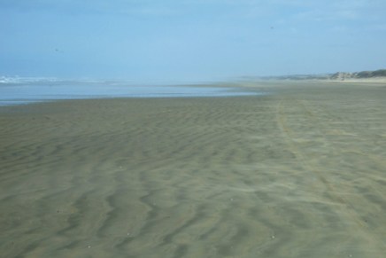 Te Reinga…the Leaping Place of&nbsp;Spirits