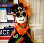 Catrina photographed by Eline Fris and Colleagues