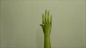 emotional a series of images by Katharina Michelitsch