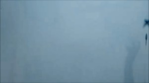 emotional a series of images by Katharina Michelitsch